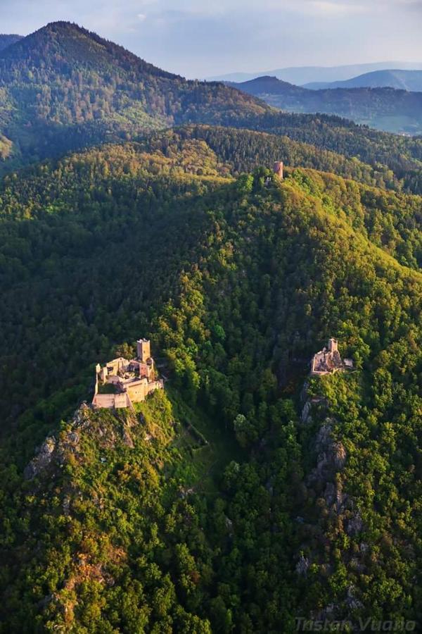 Gite See You Soon - Maisonnette Green Lodge Ribeauvillé Εξωτερικό φωτογραφία